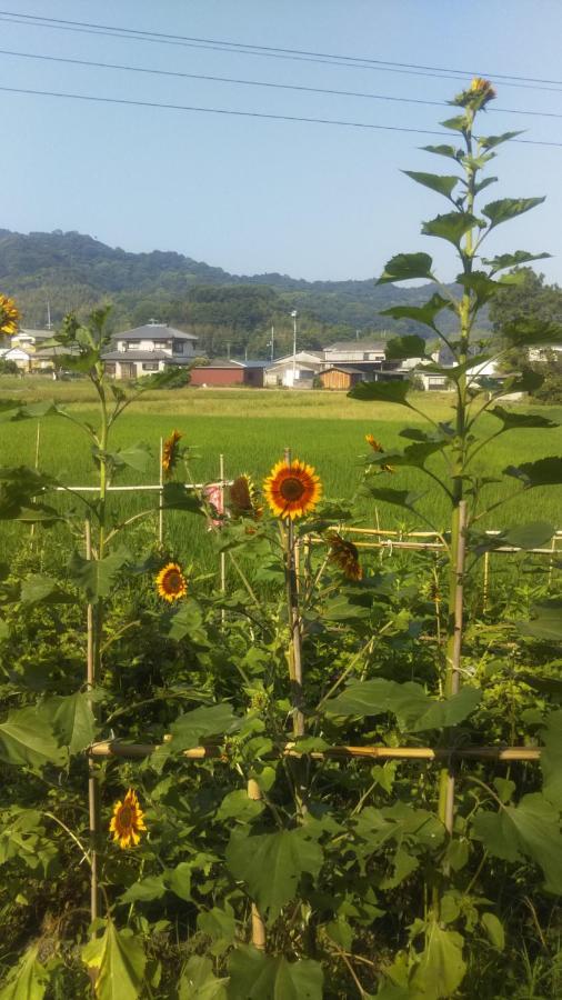 Raibrasil Guest House Sanuki  Exterior foto